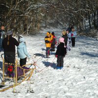 Home schoolers learning about sled dog positions and roles.