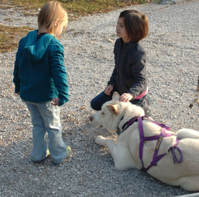 Girl Scouts like Okemo