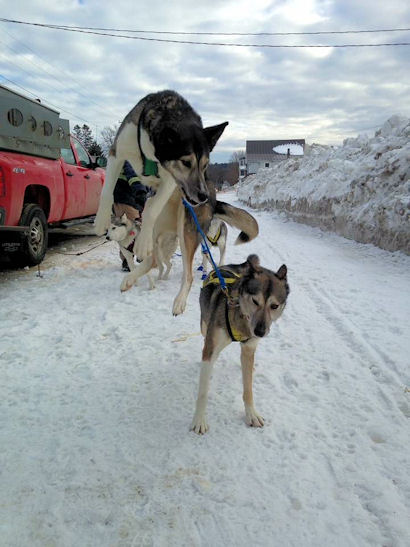 Nisha looks a little excited near Brownville, ME