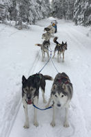 The team pauses during a run