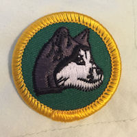 Girl Scout Junior Dog Sledding Badge