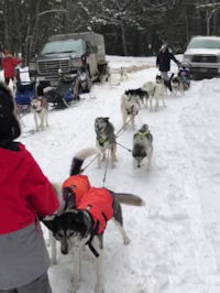 The Maryland Sled Dog Adventures LLC team ready to head out