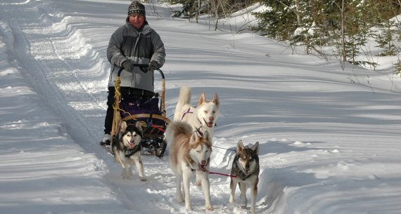 Dog sledding in Quebec with our four sled dog team.