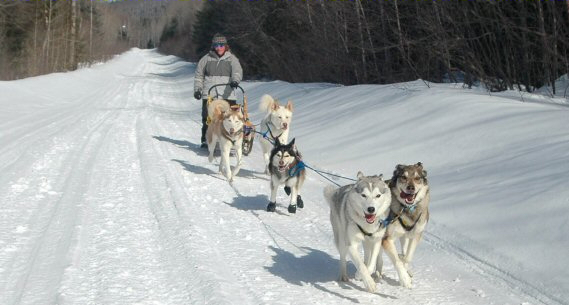 Dog sledding in Quebec with our five sled dog team.