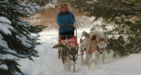 Dog sledding with our four dog team in Deep Creek, Maryland