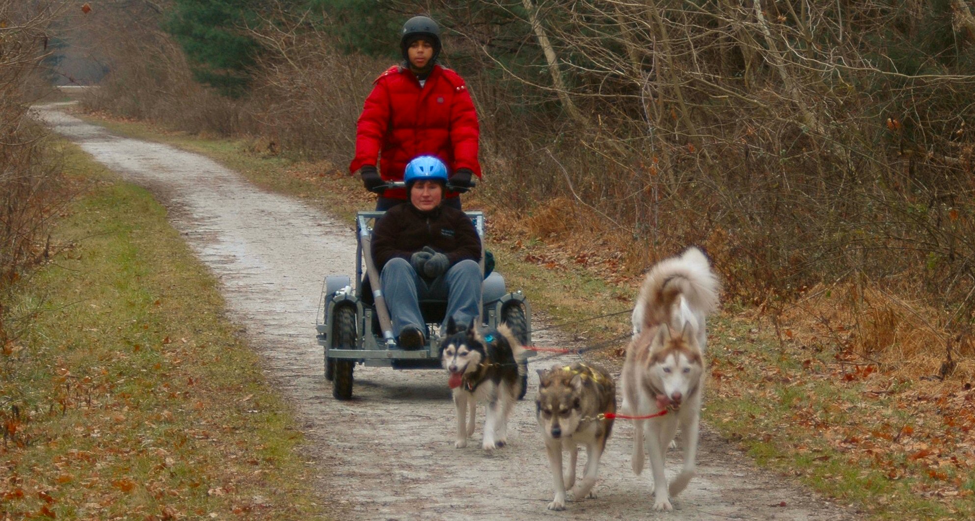 Catherine and the team of Northern breed sled dogs dog sledding near Eden Mountain, Vermont.