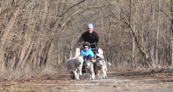 Dryland dog sledding near Sparks, MD