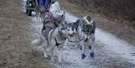 Flare and Vale lead the team down the trail