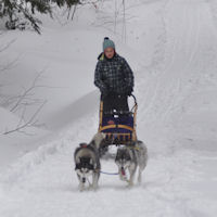 Drivers education with sled dogs Beaver and Vale