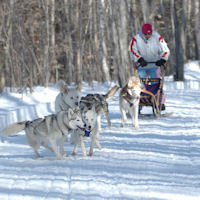 Acadia and Gypsy look ready to head down the trail.