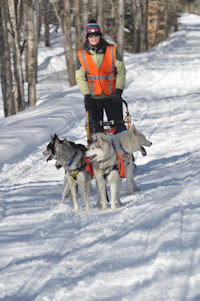 Dog sledding in Maine.