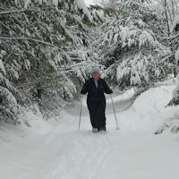 Wonderful snowshoeing near the cabin