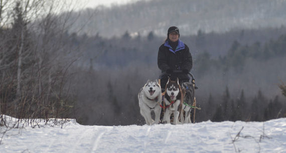 Dog sledding in Starks, ME