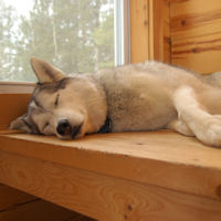 Acadia finds a place to relax