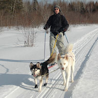 Eric skijoring with Okemo and T-Bone