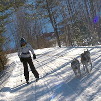 Skijoring near Farmington