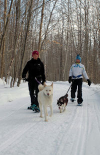 Snowshoeing in Maine near the cabin