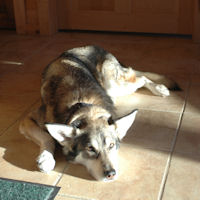 Zoe relaxes.