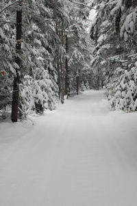 A winter wonderland