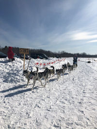 Catherine returns from the Maine State Championship Sled Dog Race in Farmington Maine