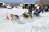 Catherine in the Maine State Championship Sled Dog Race near Farmington Maine