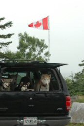 Our dogs recently became world travellers and visited Campobello Island, New Brunswick.
