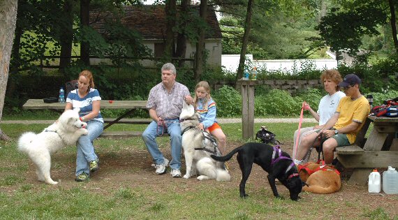 Humans watch while the dogs frolic during a pull clinic in Monkton, Maryland.