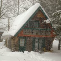 Baisley cabins