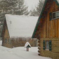 Baisley cabins