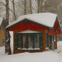 Baisley cabins