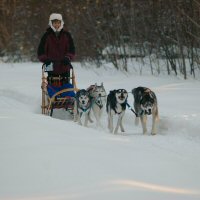 Gino on the trail