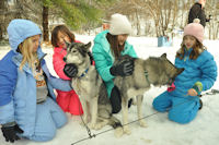 The dogs at the trail