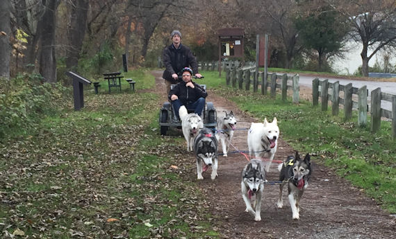 The team on the trail