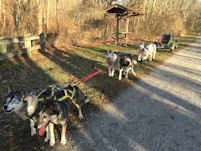 Team on the TCB trail