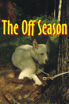 The off season is a time for the dogs to recover and relax.