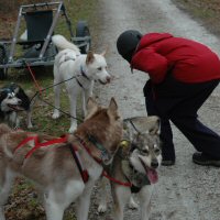 Okemo makes a friend.