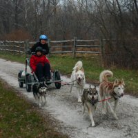 Working hard on the trail.