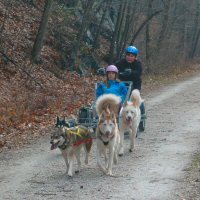 Catherine and the team dog sledding in northern Baltimore County.