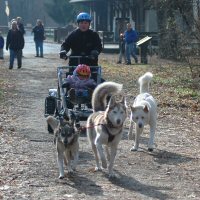 Okemo, Sobo and company pull from the station.