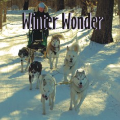 Come see a Maryland winter adventure with Maryland Sled Dog Adventures LLC.