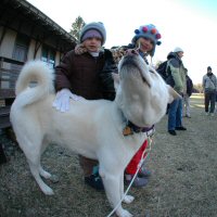 Okemo wants to join the birthday party!