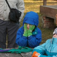 Learning about dog sledidng harnesses