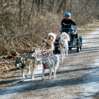 Small rider