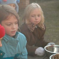 Dog sled rides during a birthday party