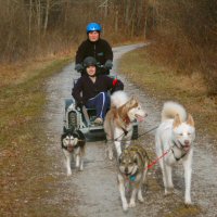 Catherine and the team dog sledding in northern Baltimore County.