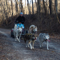 Sled dogs Zoë and Acadia lead the team back towards the White Hall station.