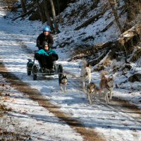 Catherine and the team dog sledding in northern Baltimore County.