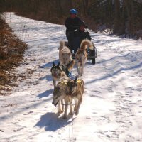 Chuck and the team head up the trail.