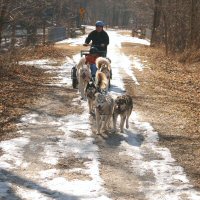 Acadia and Zoe lead the team.