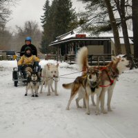 Catherine and the team dog sledding in northern Baltimore County.
